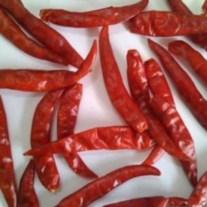_S17 Teja Dry Red Chili 